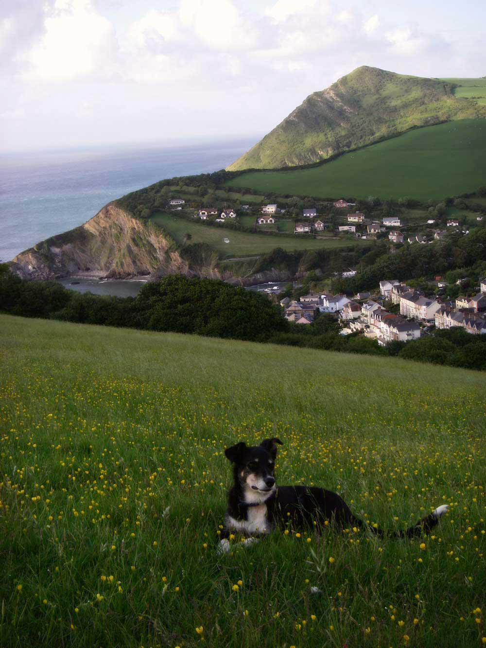 Broadsands Beach