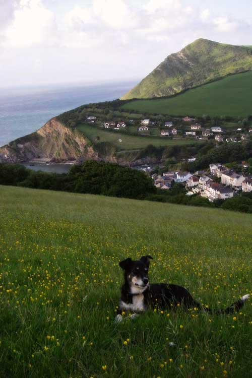 From Berrynarbor to Combe Martin