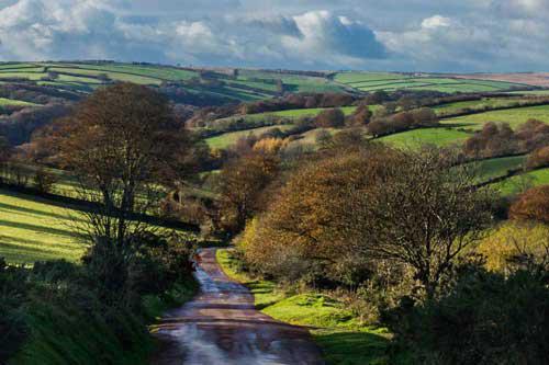 An Exmoor Lane