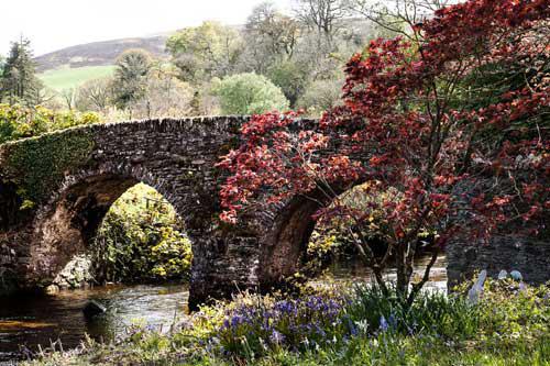 Exmoor Bridge