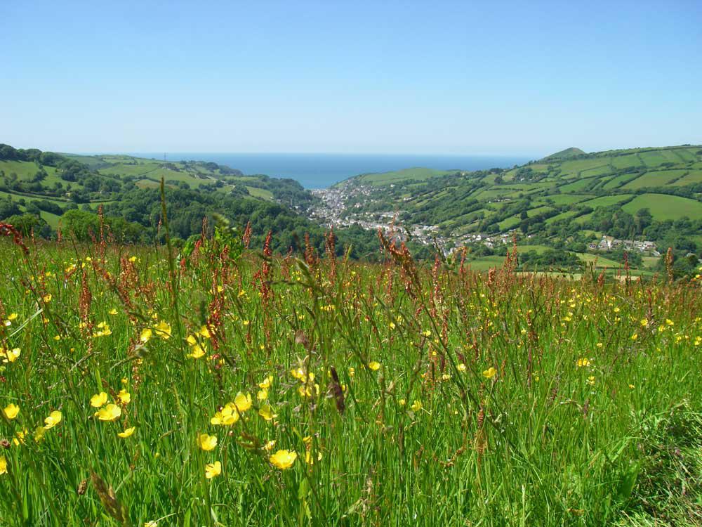 The view from Rockham to Bull Point