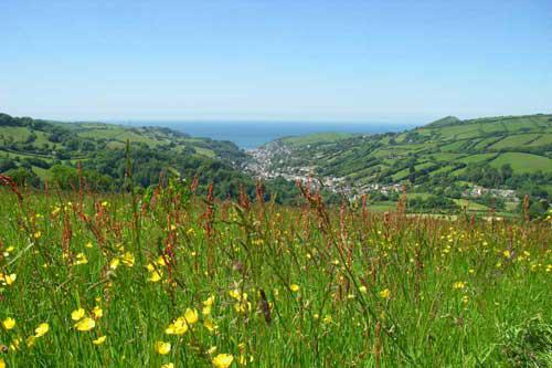 Combe Martin View