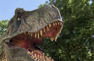 Combe Martin Wildlife and Dinosaur Park