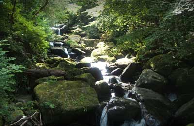 Glen Lyn Gorge